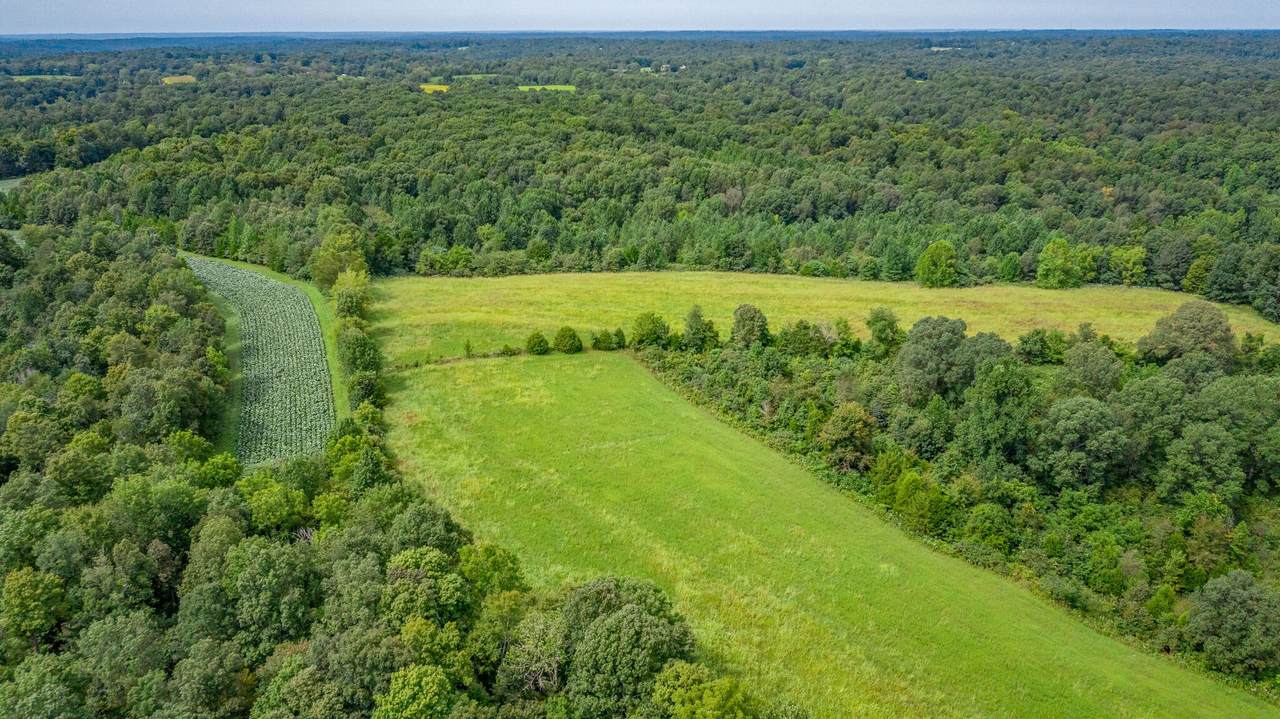 0 Little Bartons Creek Rd - Photo 1