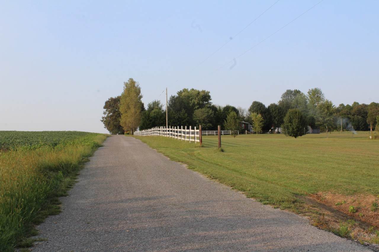 251 Liberty Cemetary Rd - Photo 1