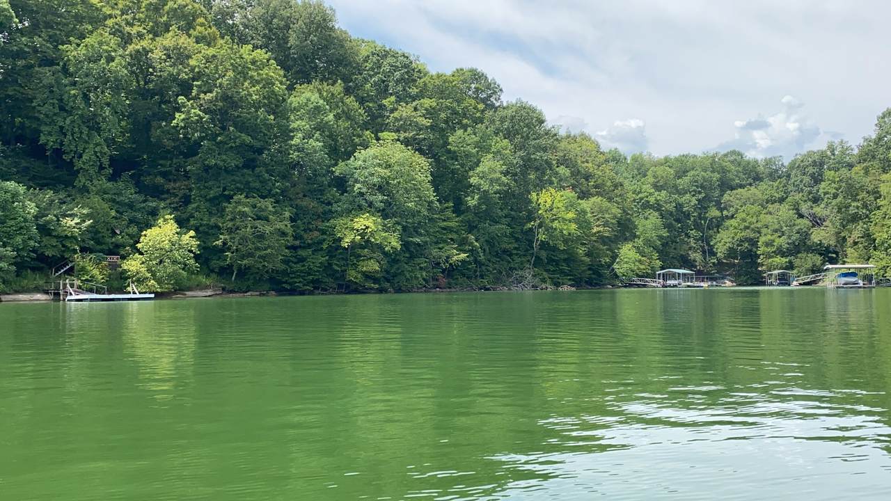 0 Huffman Park Rd - Photo 1