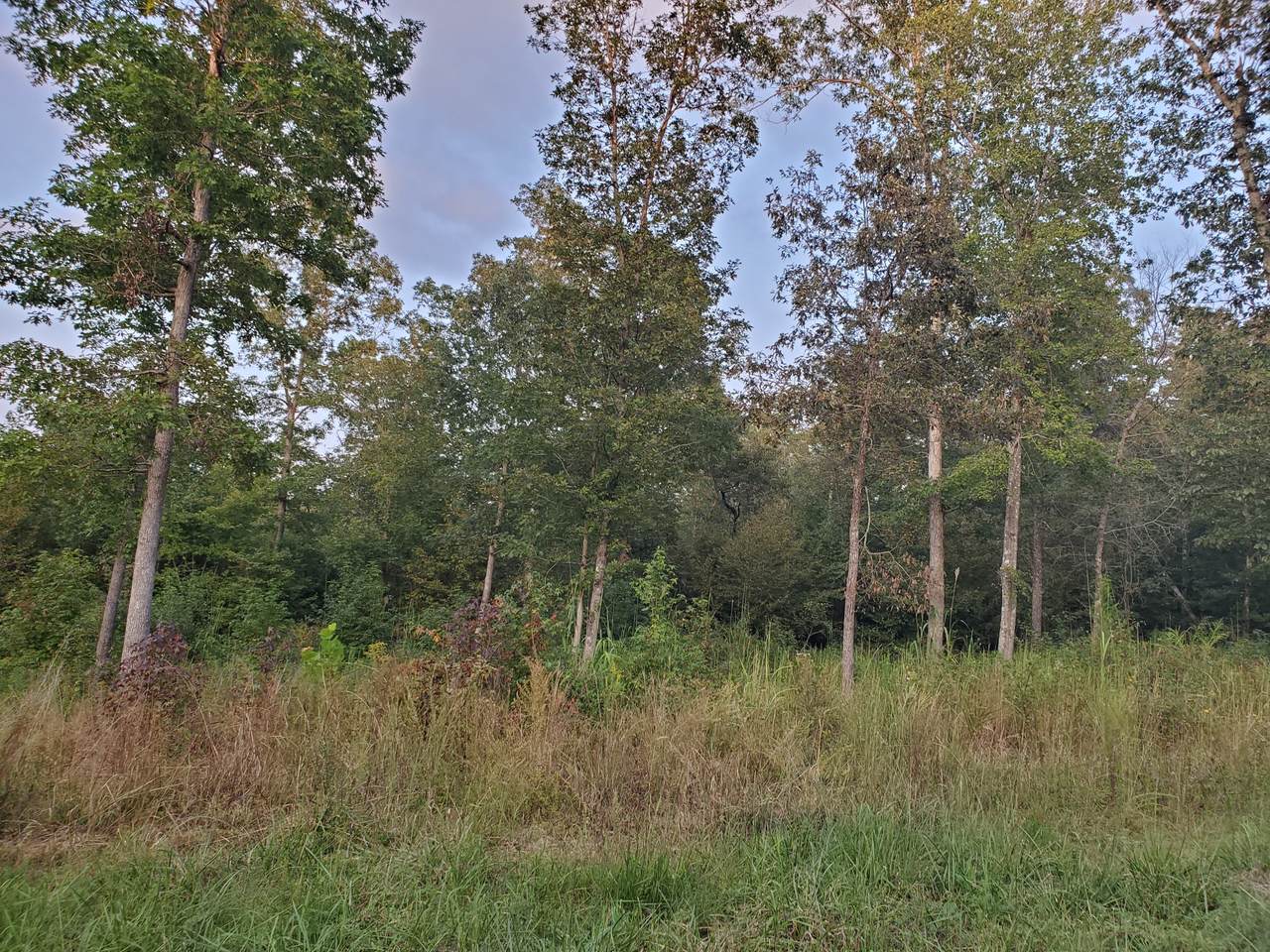 2465 Brodies Landing Rd - Photo 1