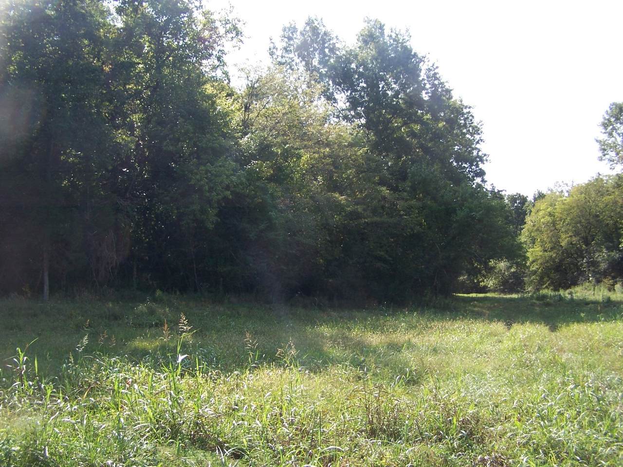 0 E College St - Photo 1