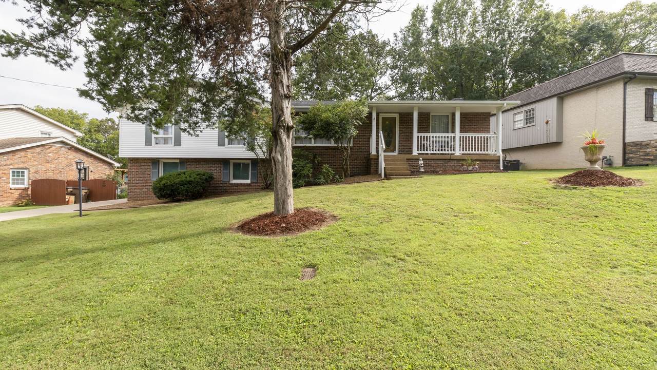 2613 Timberland Dr - Photo 1