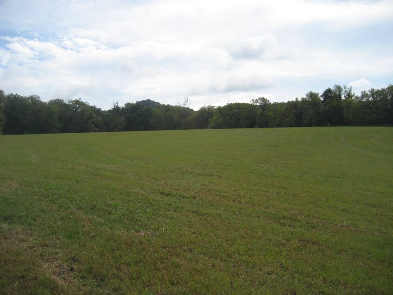 1290 Globe Rd - Photo 1