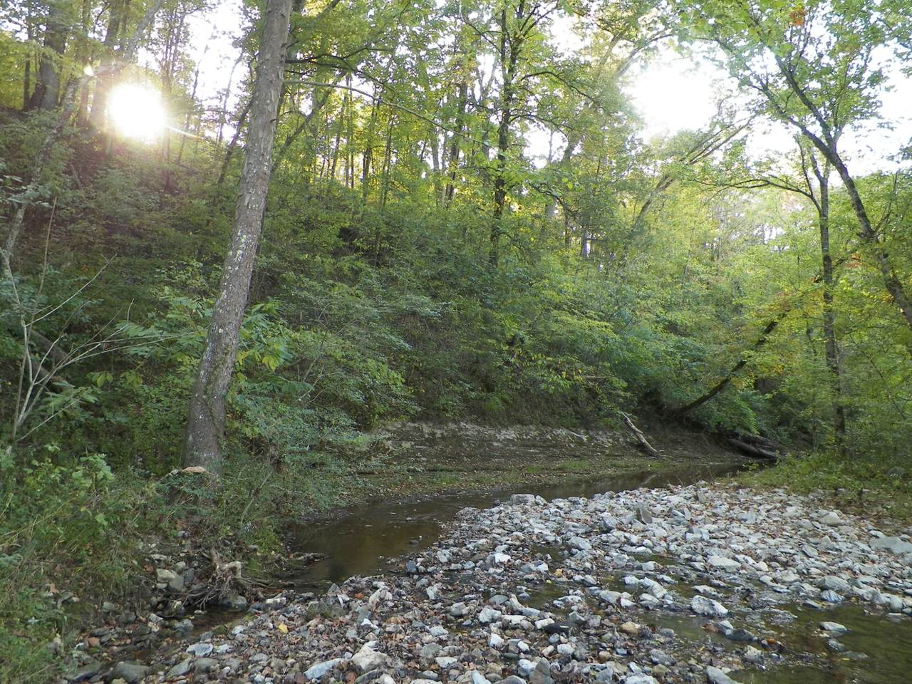 280 Wolf Hill Rd - Photo 1