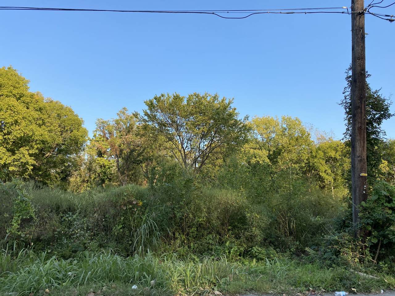 1234 Lewis St - Photo 1