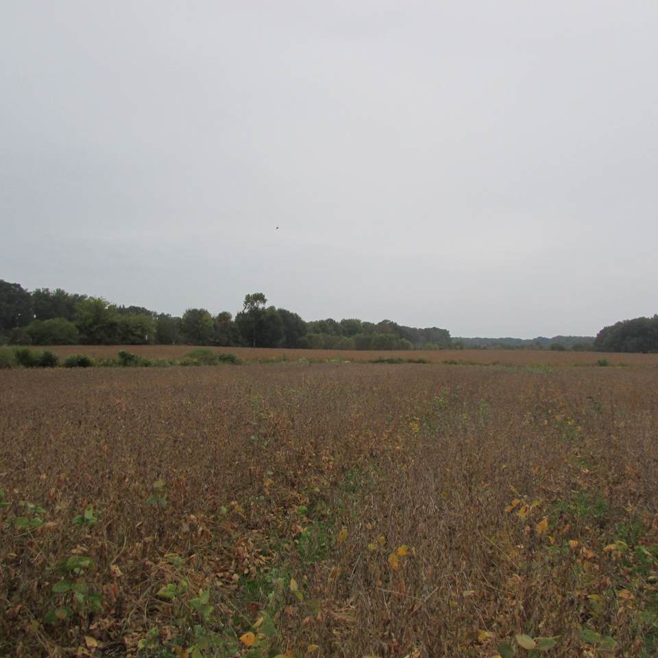 0 Mattoxtown Road - Photo 1