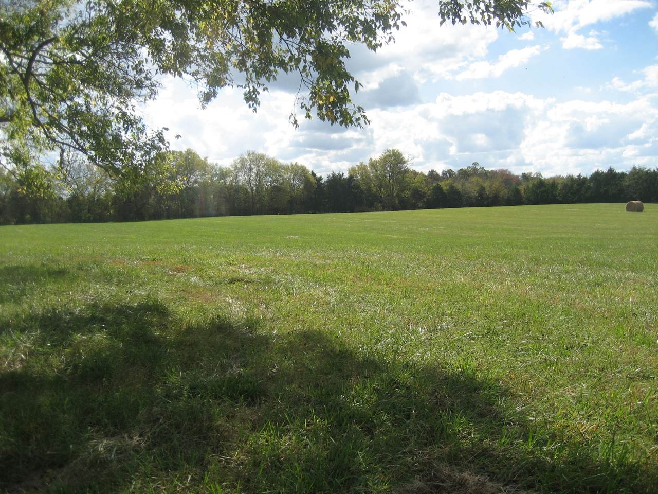 0 Baptist Church Rd. - Photo 1