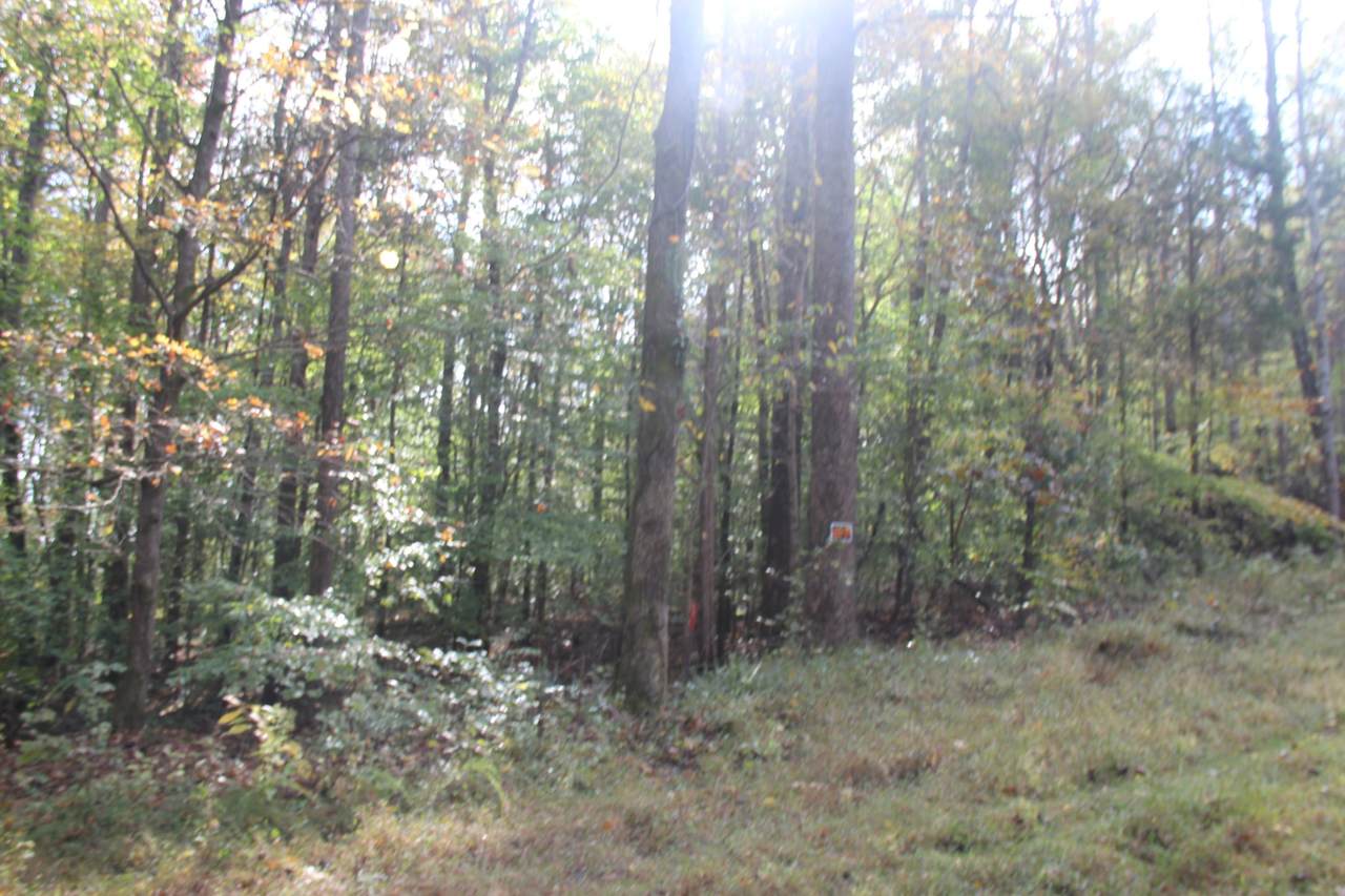 0 Saline Trail - Photo 1