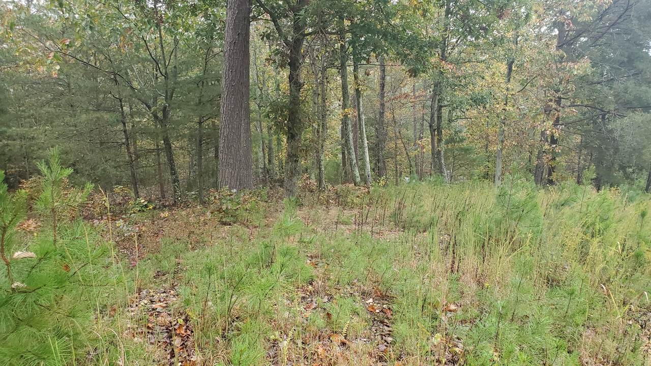 0 Old Skyline Rd - Photo 1