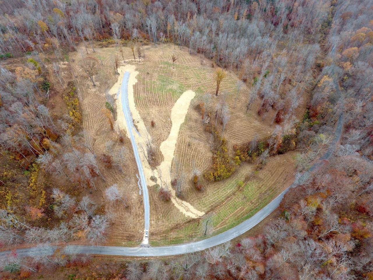 0 Bellwood Hollow Rd - Photo 1