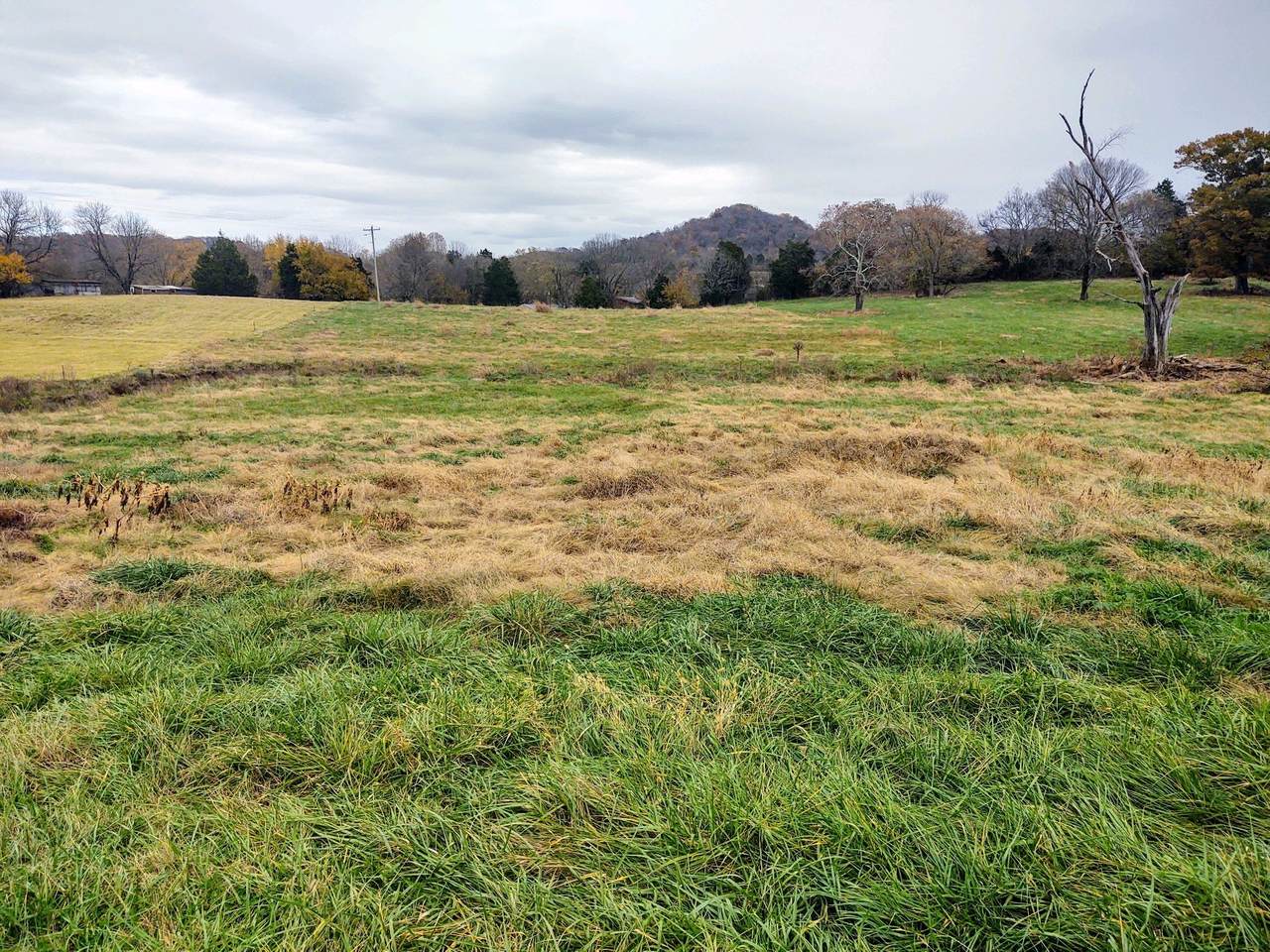 2 Hog Hollow Ln - Photo 1