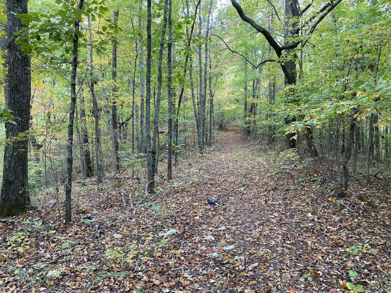 461 Sunny Point Rd - Photo 1