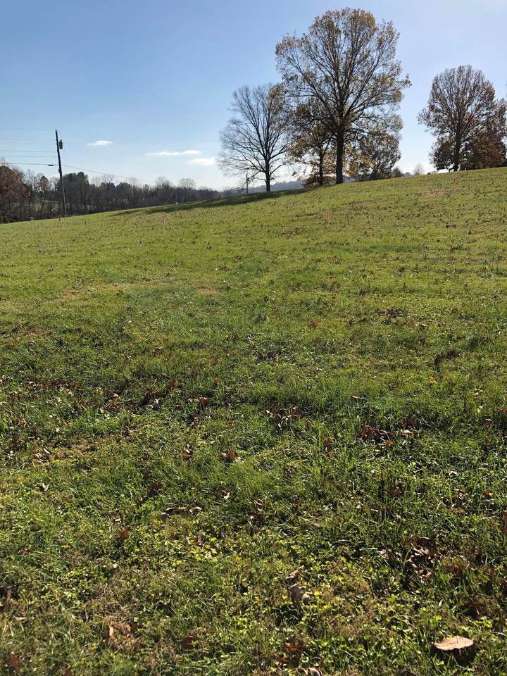 0 Thoroughbred Ln - Photo 1