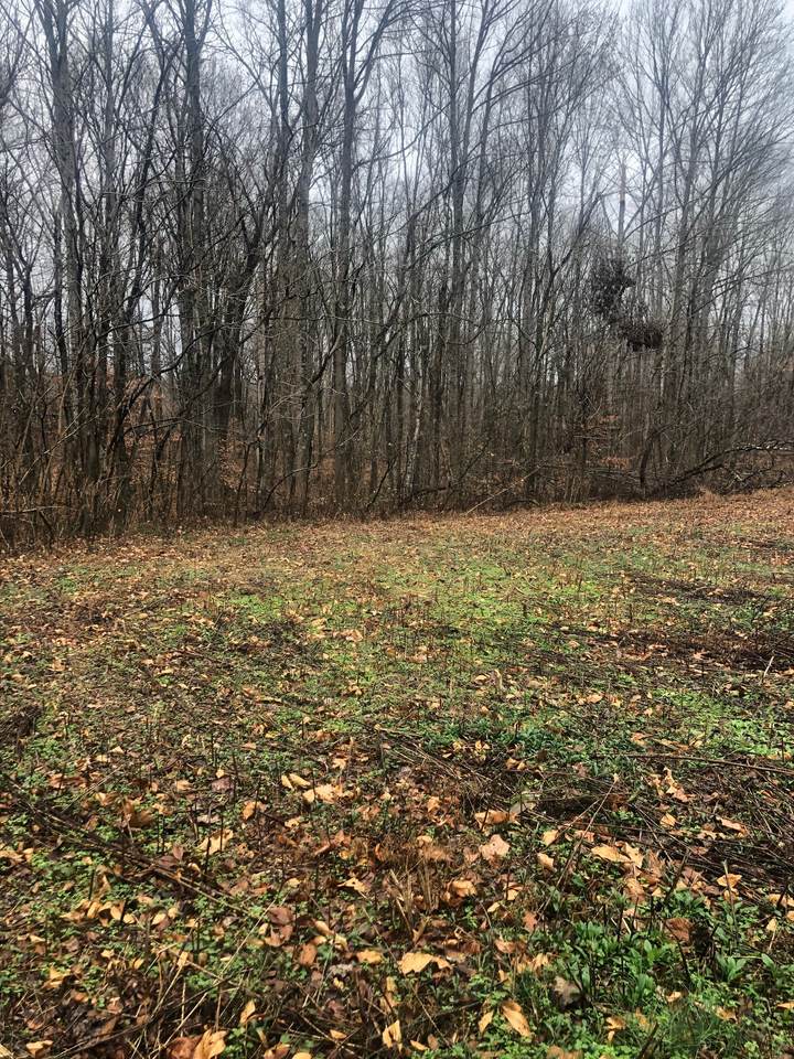 8 Shiloh Lane - Photo 1