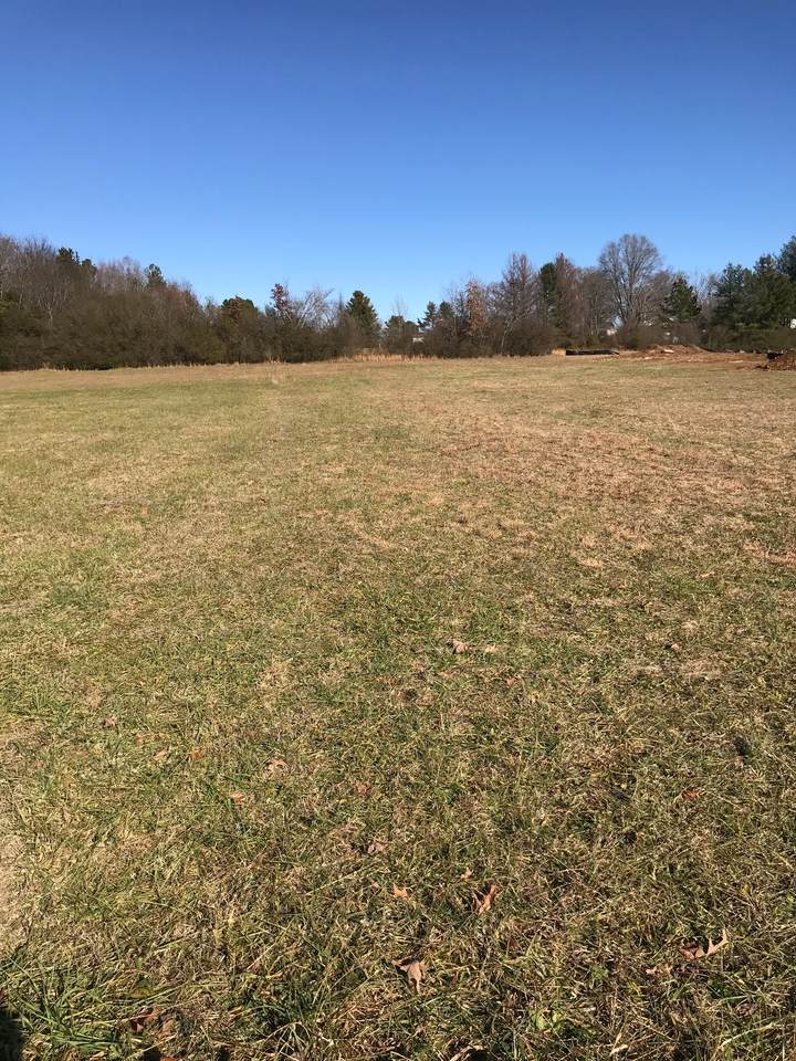 0 Woodbury Hwy - Photo 1