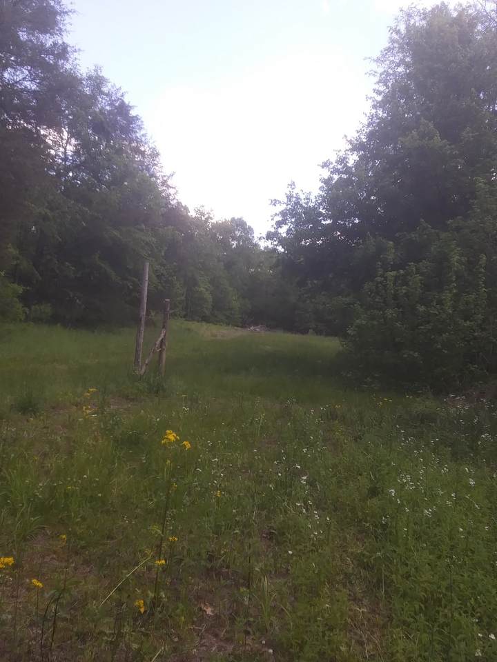 0 Sue/ Sioux Dr. - Photo 1