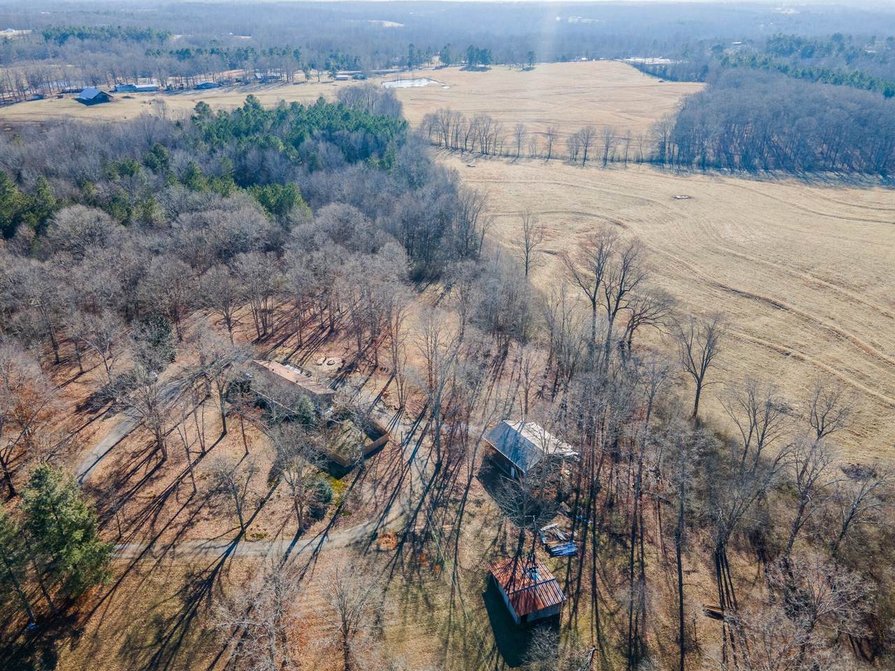7325 Overby Rd - Photo 1