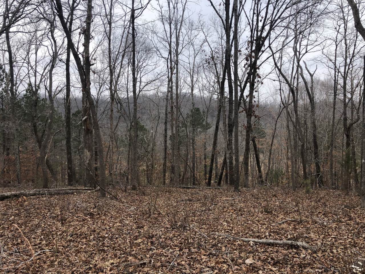 0 Roberts Creek Road - Photo 1