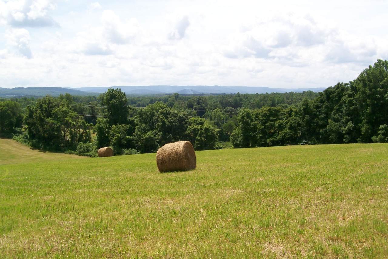0 Webbs Camp Rd - Photo 1