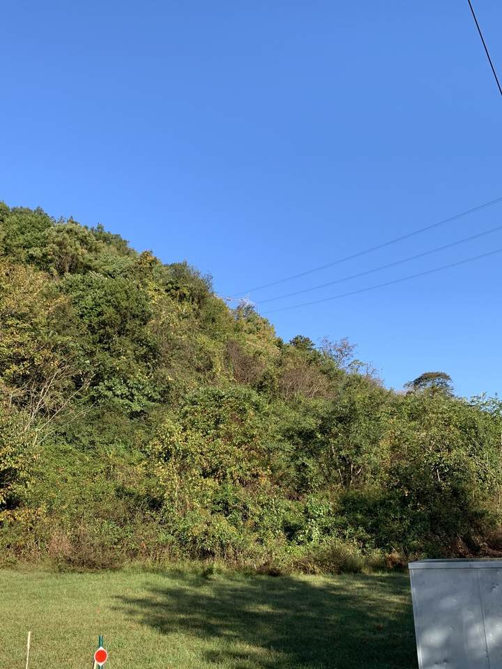1357 Holly Tree Gap Rd - Photo 1