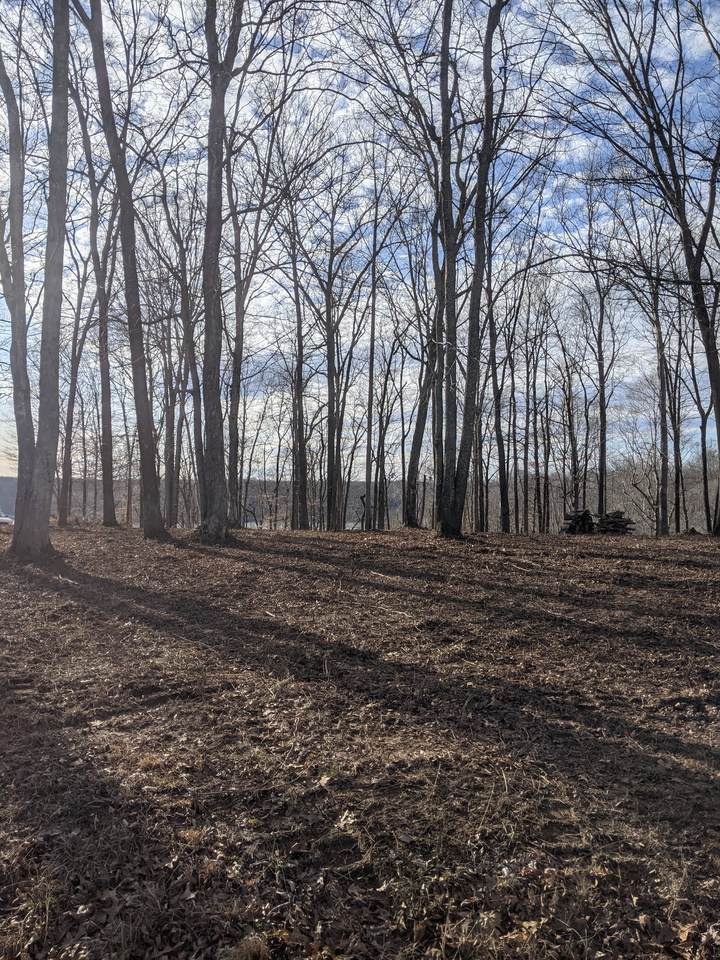 0 Flora Ln - Photo 1