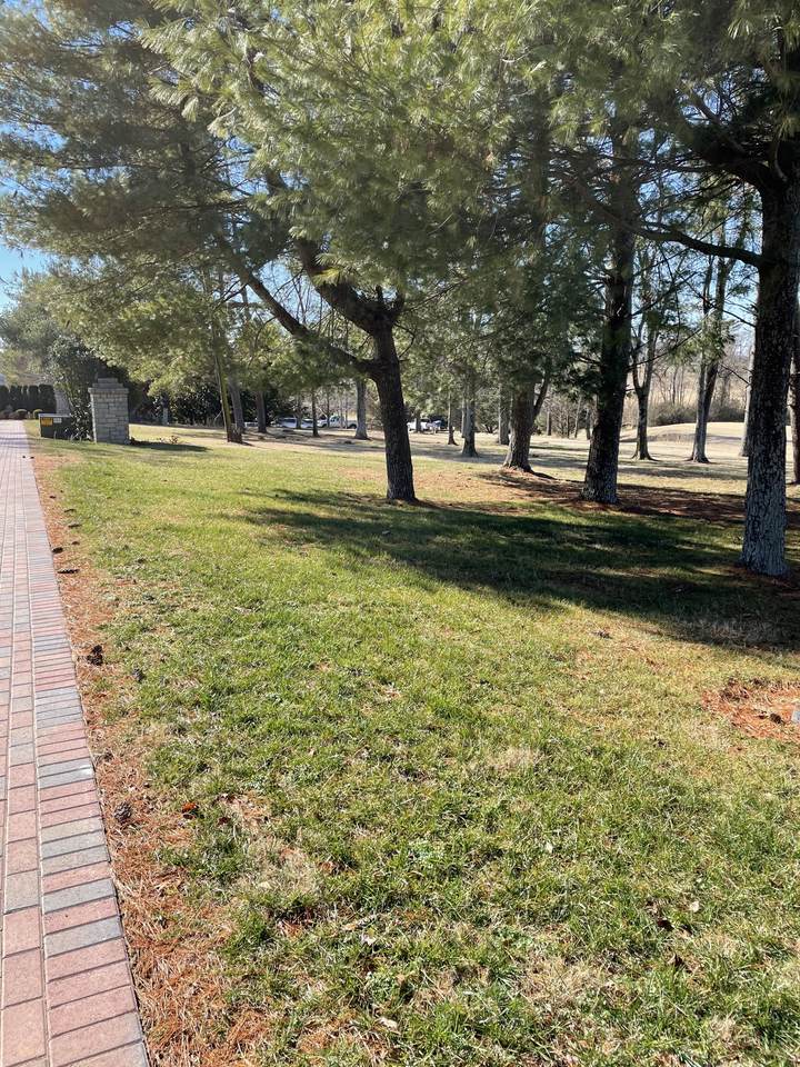 0 1142&1146 Brown's Lane - Photo 1