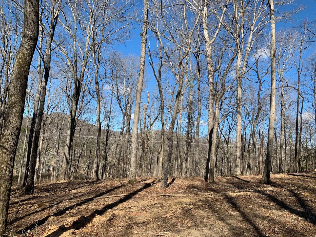 7524 River Road Pike - Photo 1