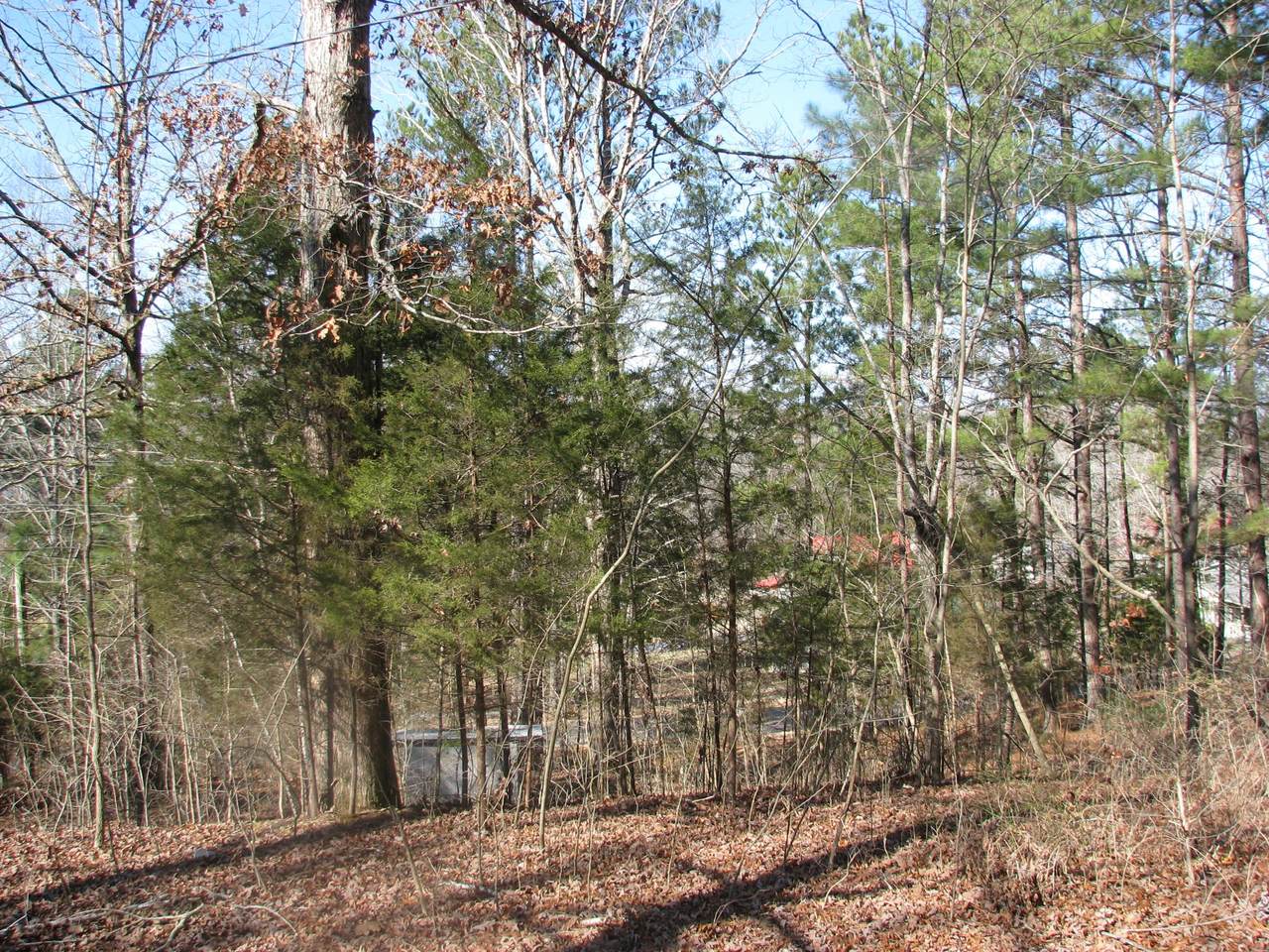 0 Cuba Landing Rd. - Photo 1