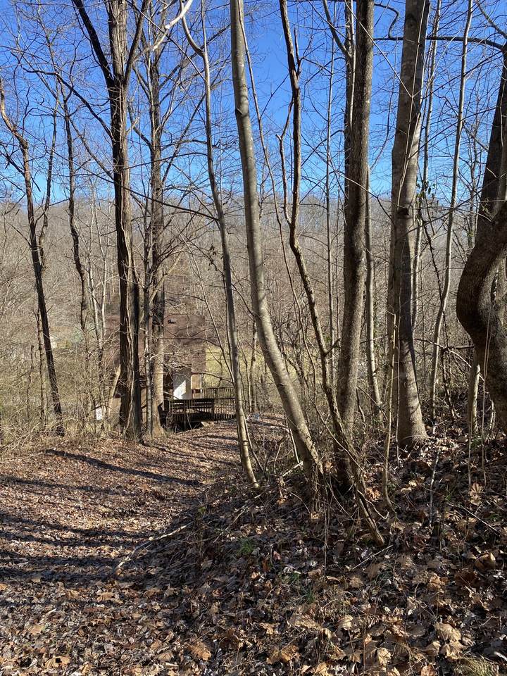 3901 Sycamore Rd - Photo 1