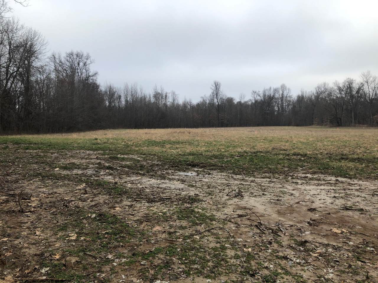 2233 Central Curve Rd - Photo 1
