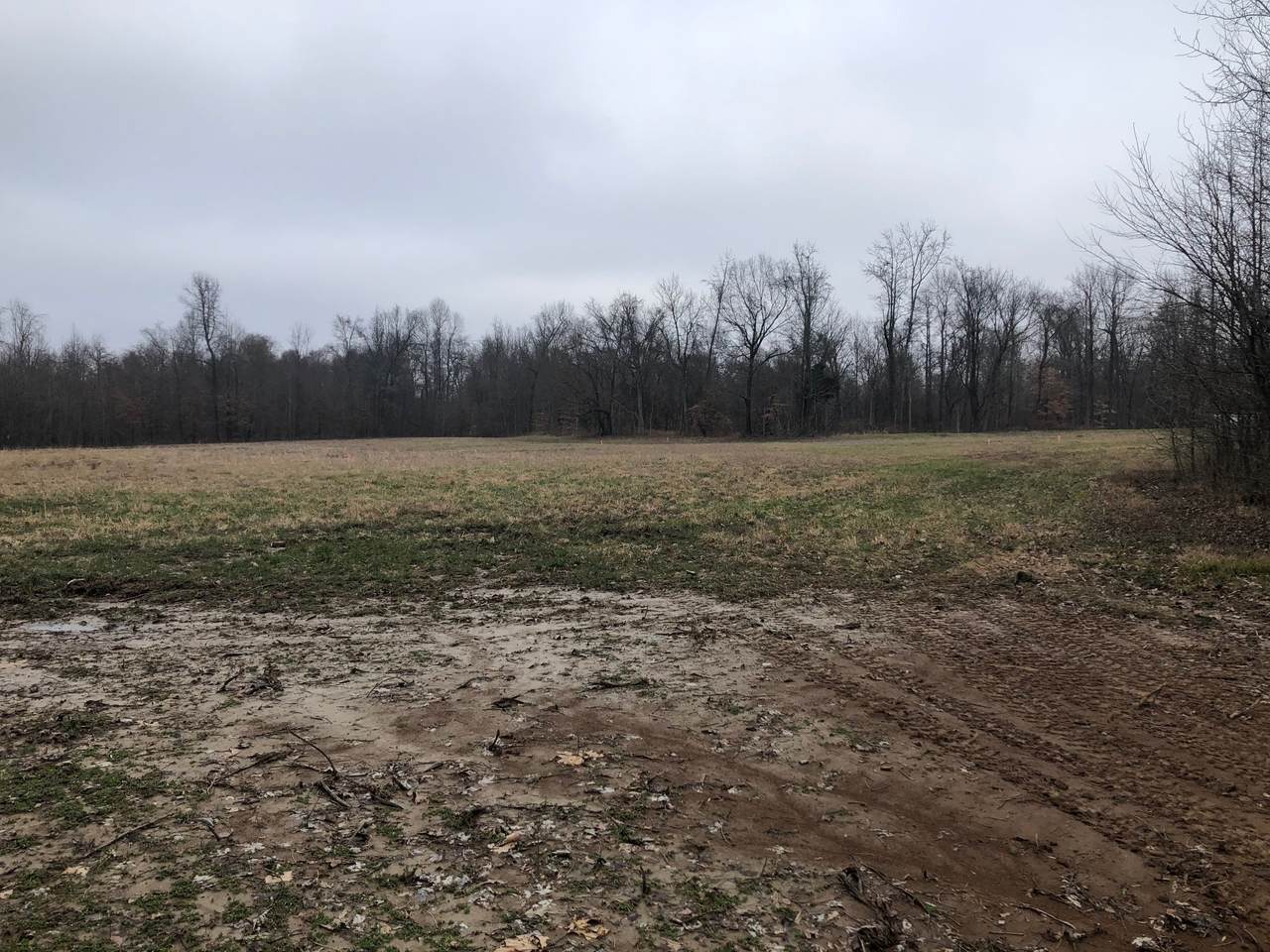 2157 Central Curv Rd - Photo 1