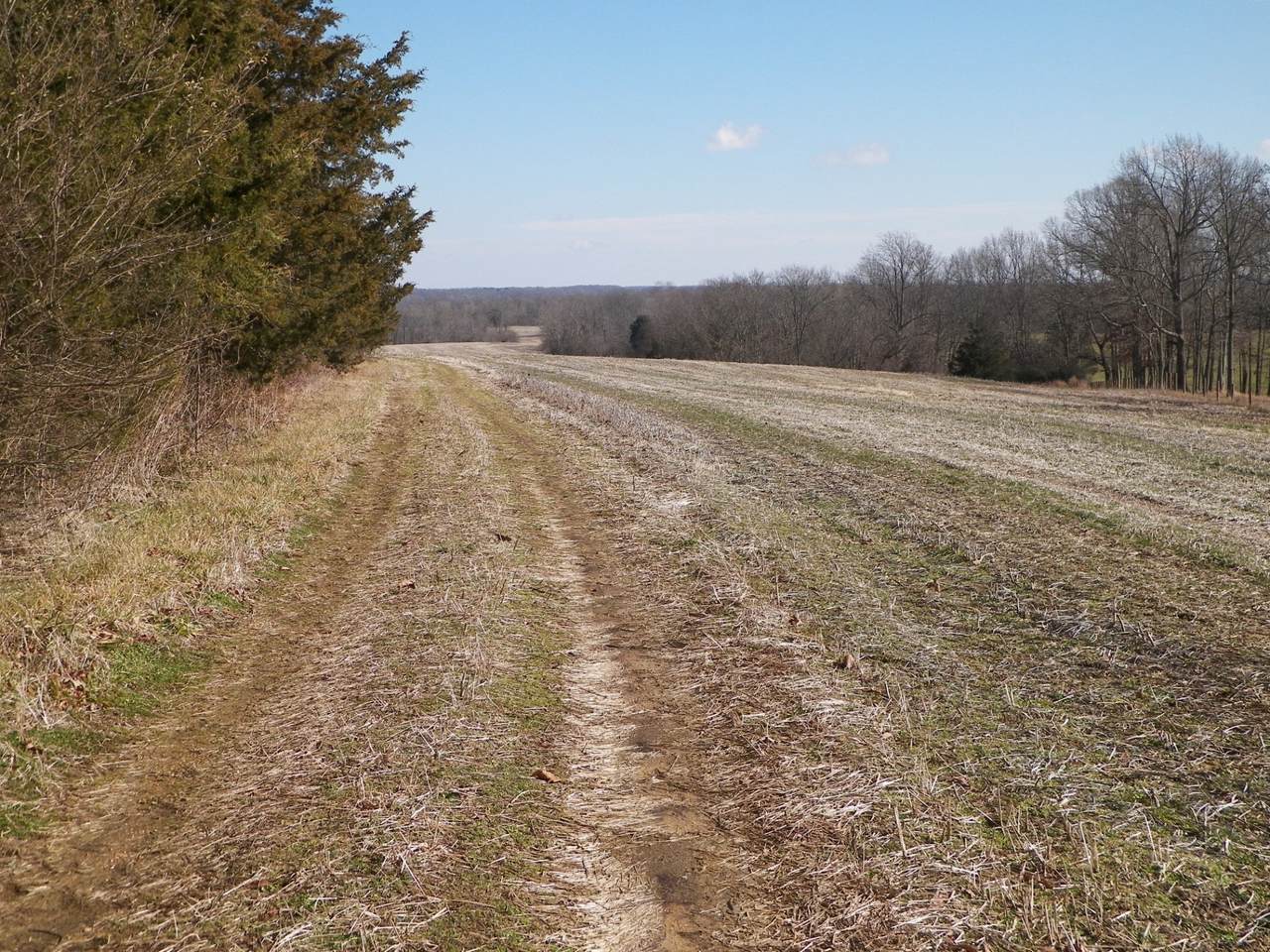 6046 Mt. Union Road - Photo 1