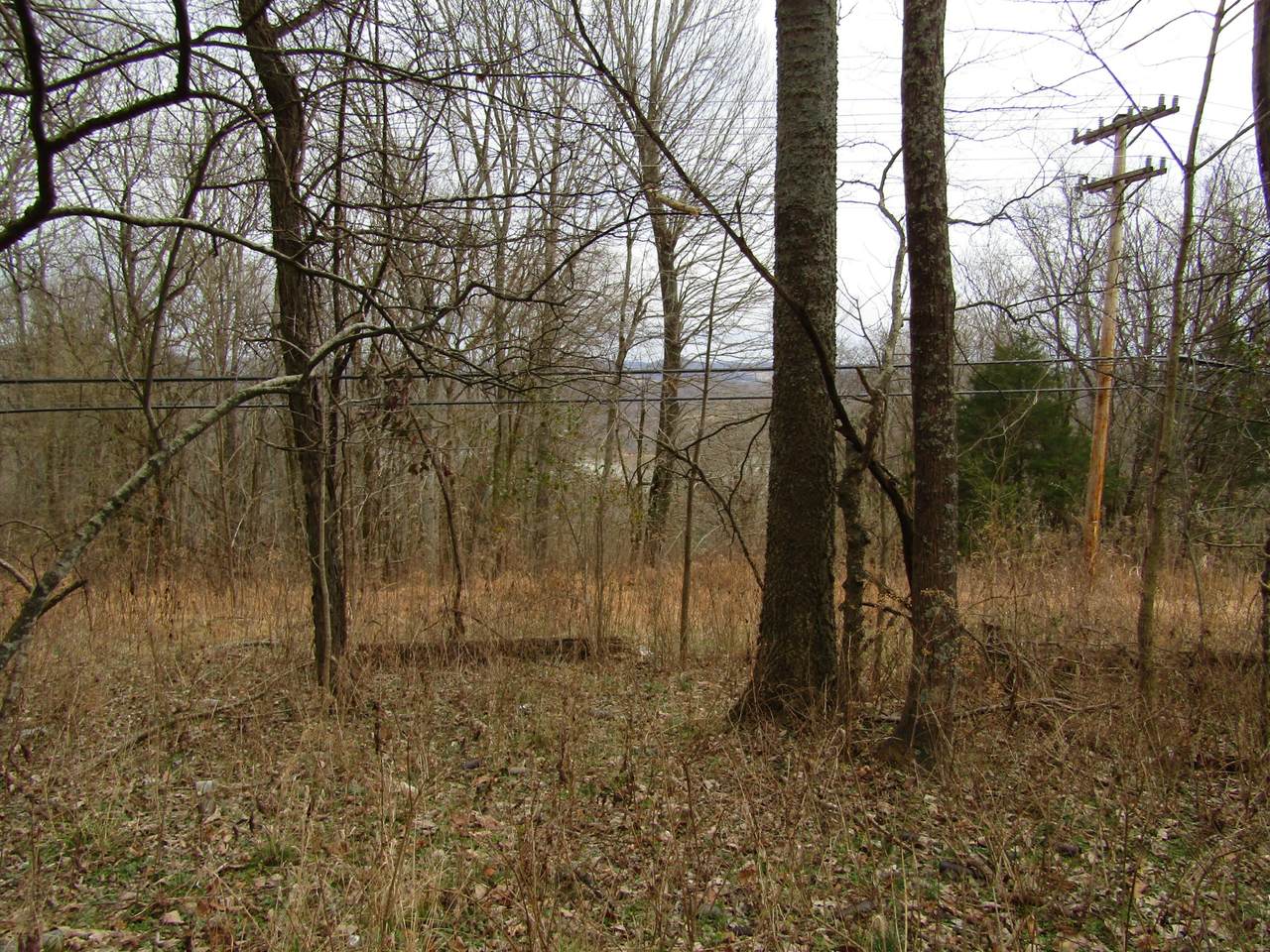 0 .23Ac Turkey Creek Hwy - Photo 1