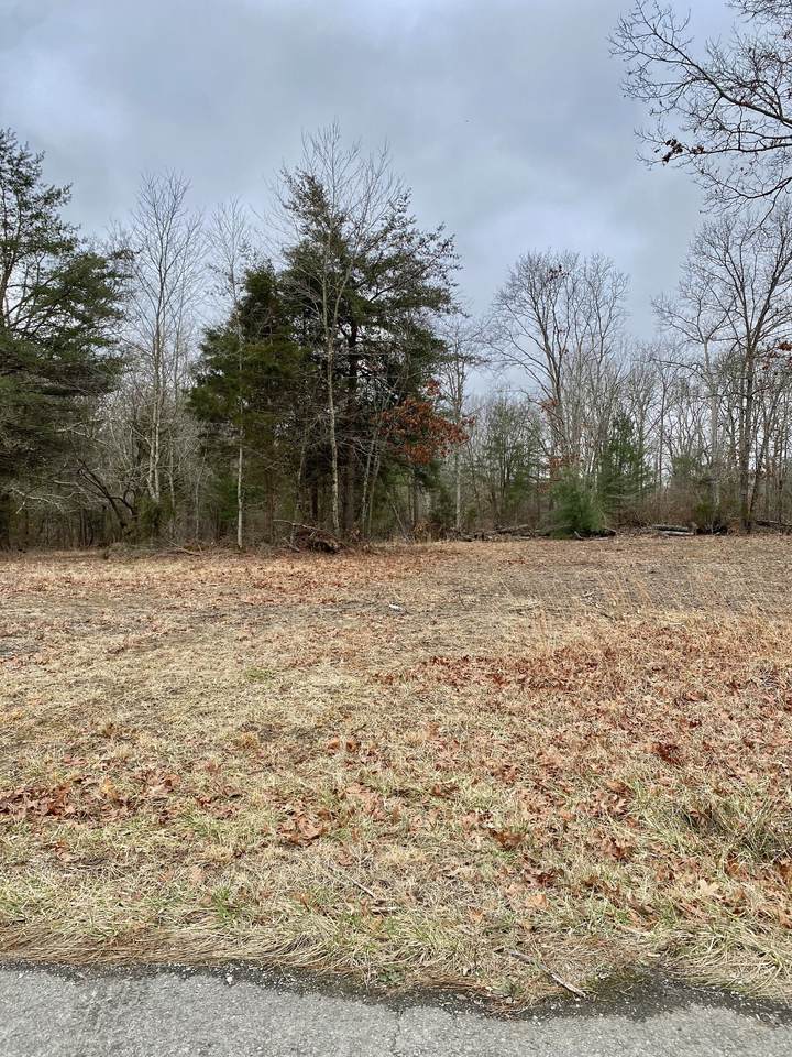 0 Rutledge Falls Road - Photo 1