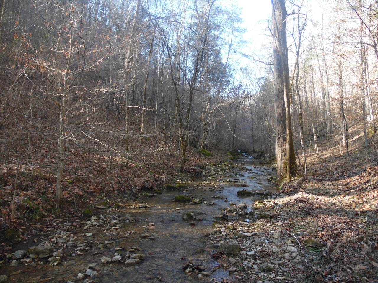 0 Brimstone Creek Rd - Photo 1