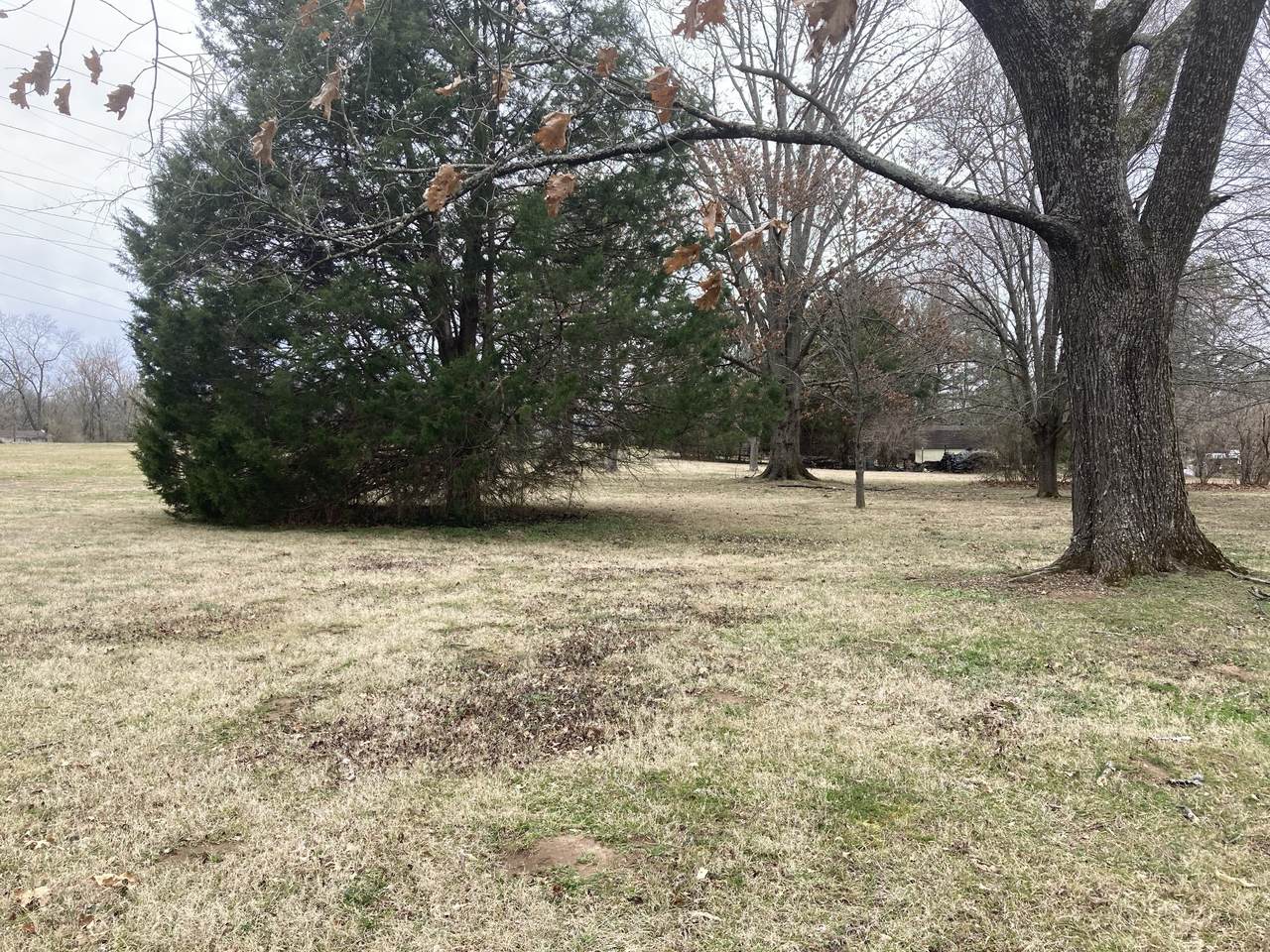 531 Trousdale Dr - Photo 1