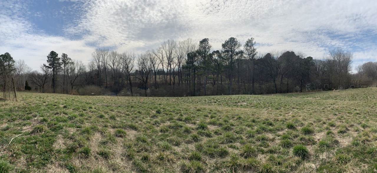 0 Clarksville Pike - Photo 1