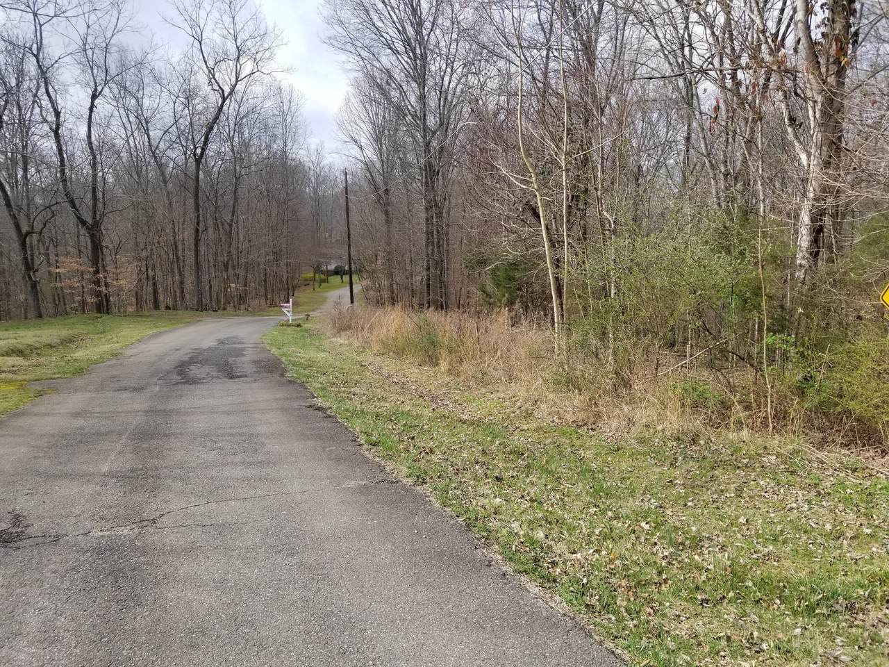 0 Ridgewood Rd - Photo 1