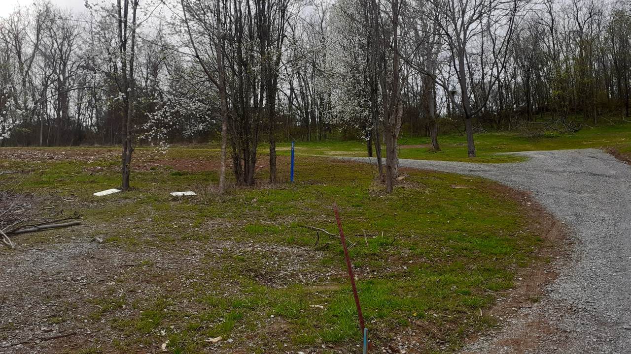2022 Beckham Dr - Photo 1