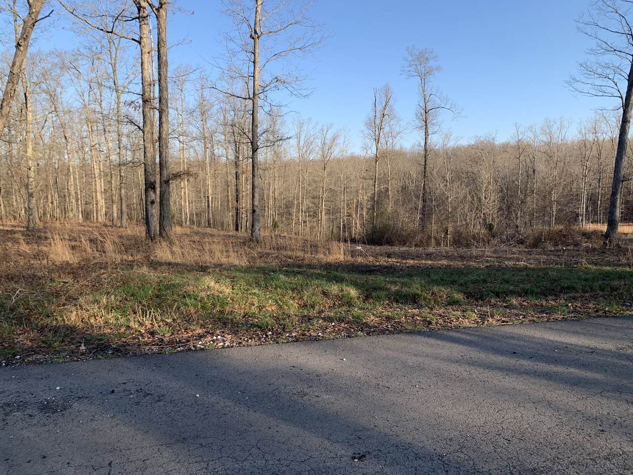 0 Tummins Rd - Photo 1