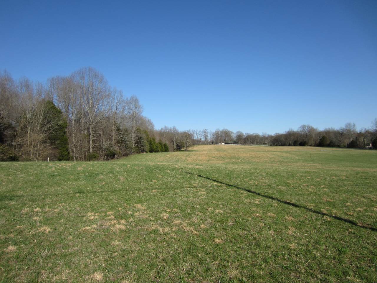 0 Hwy 231 S - Photo 1