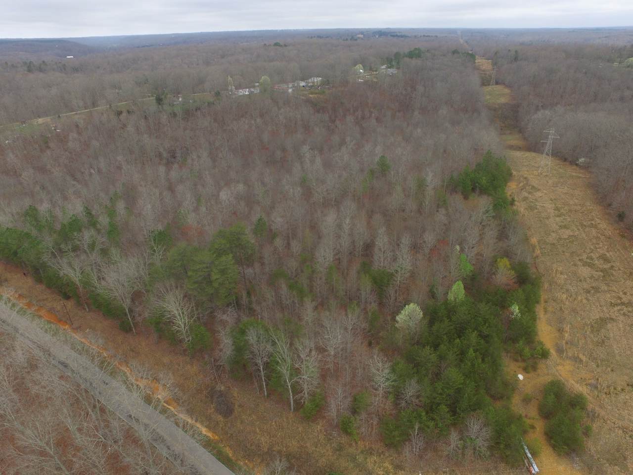 0 Dial Hollow Rd - Photo 1