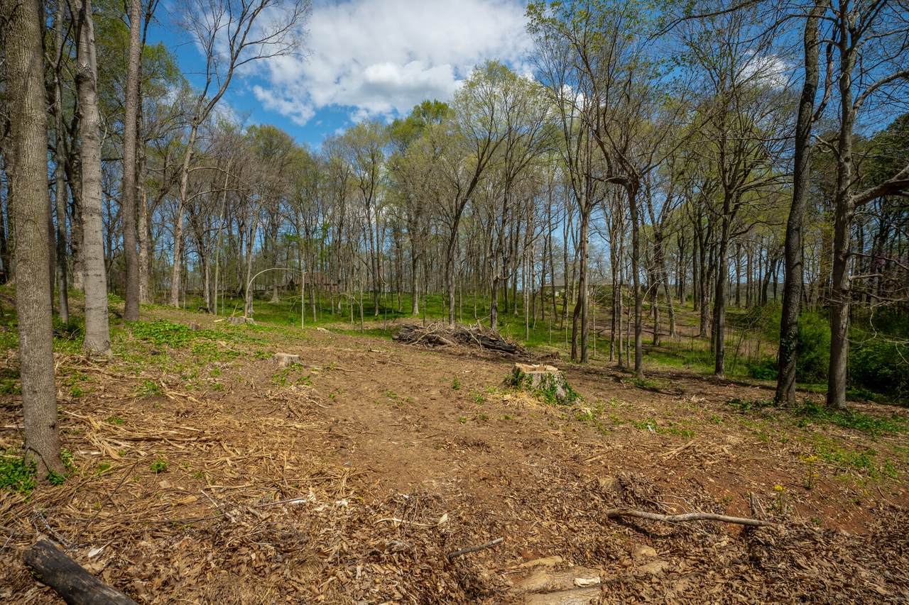 3433 Forest Park Rd - Photo 1