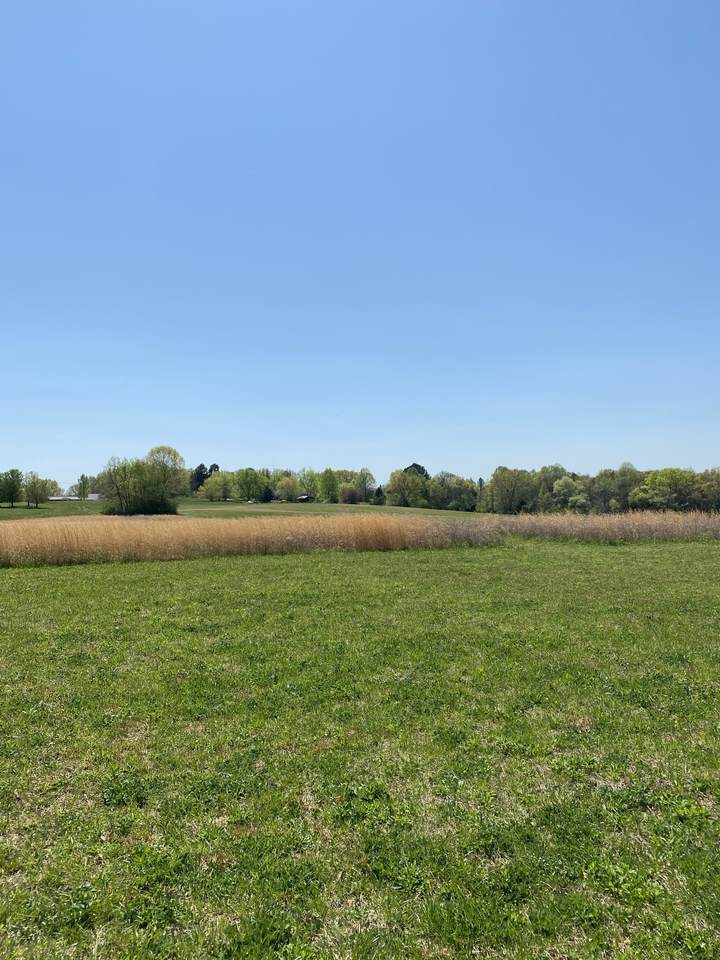 0 Abiff Rd - Photo 1