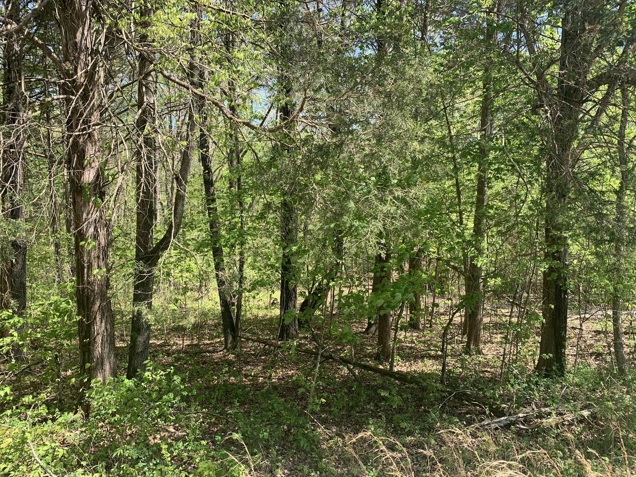 0 Mcgee Rd - Photo 1