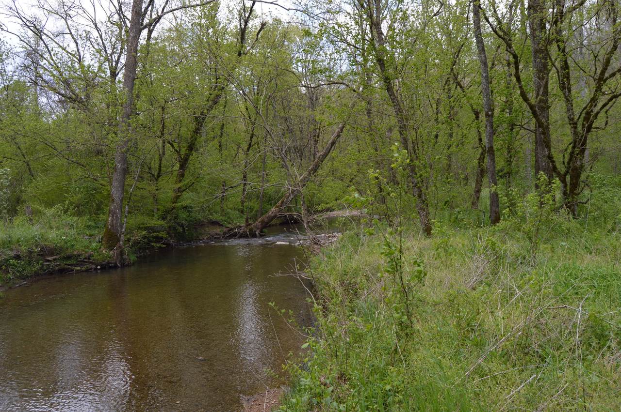 0 Cobb Hollow Rd - Photo 1