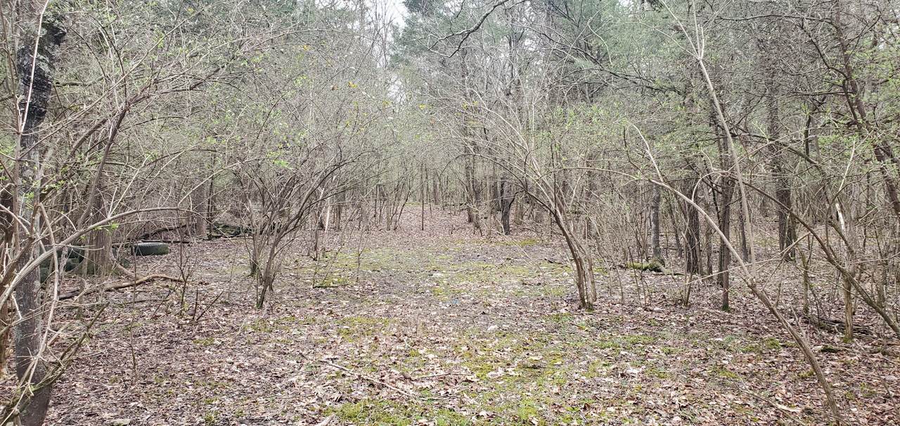 0 Saundersville Rd - Photo 1
