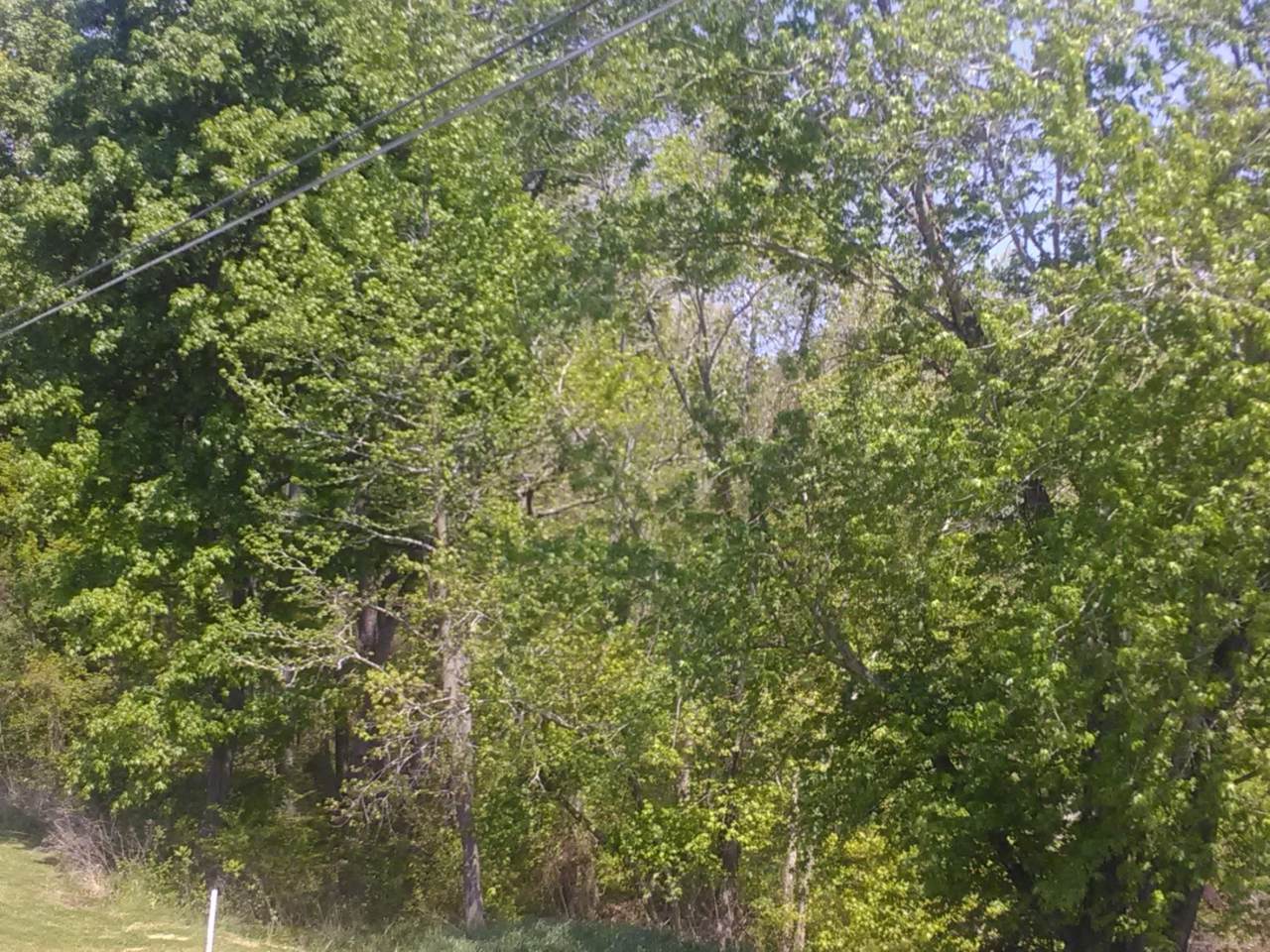 0 Rock Springs Rd - Photo 1