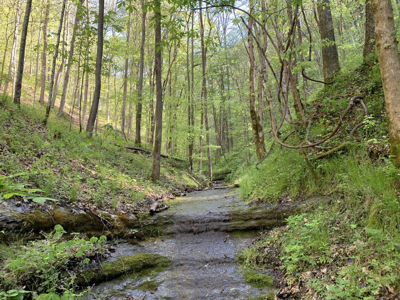 0 Wet Mill Creek Rd - Photo 1