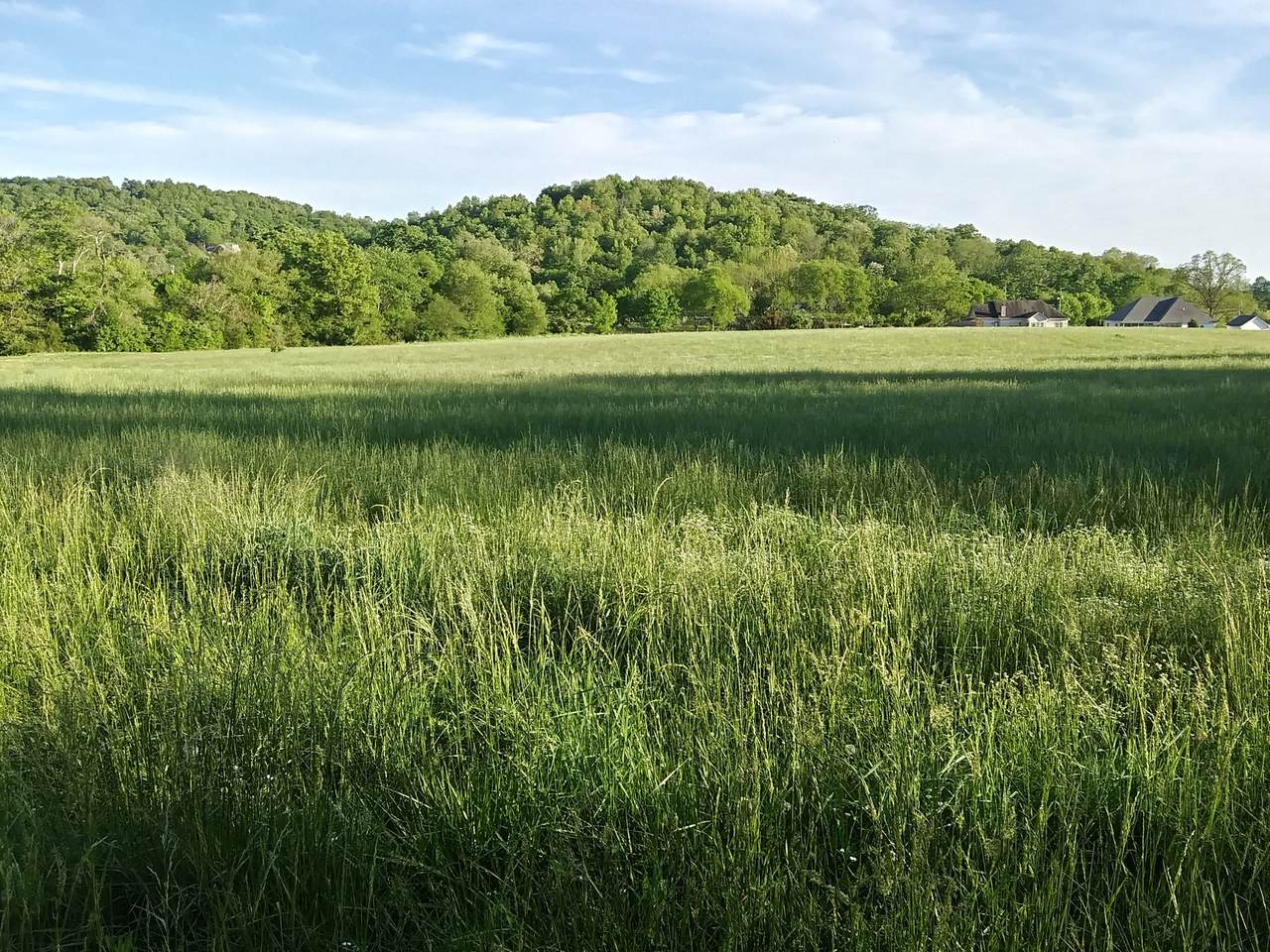 150 Lindsey Hollow Rd - Photo 1